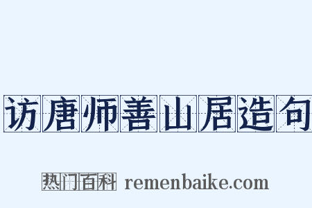 访唐师善山居造句是什么意思的图片